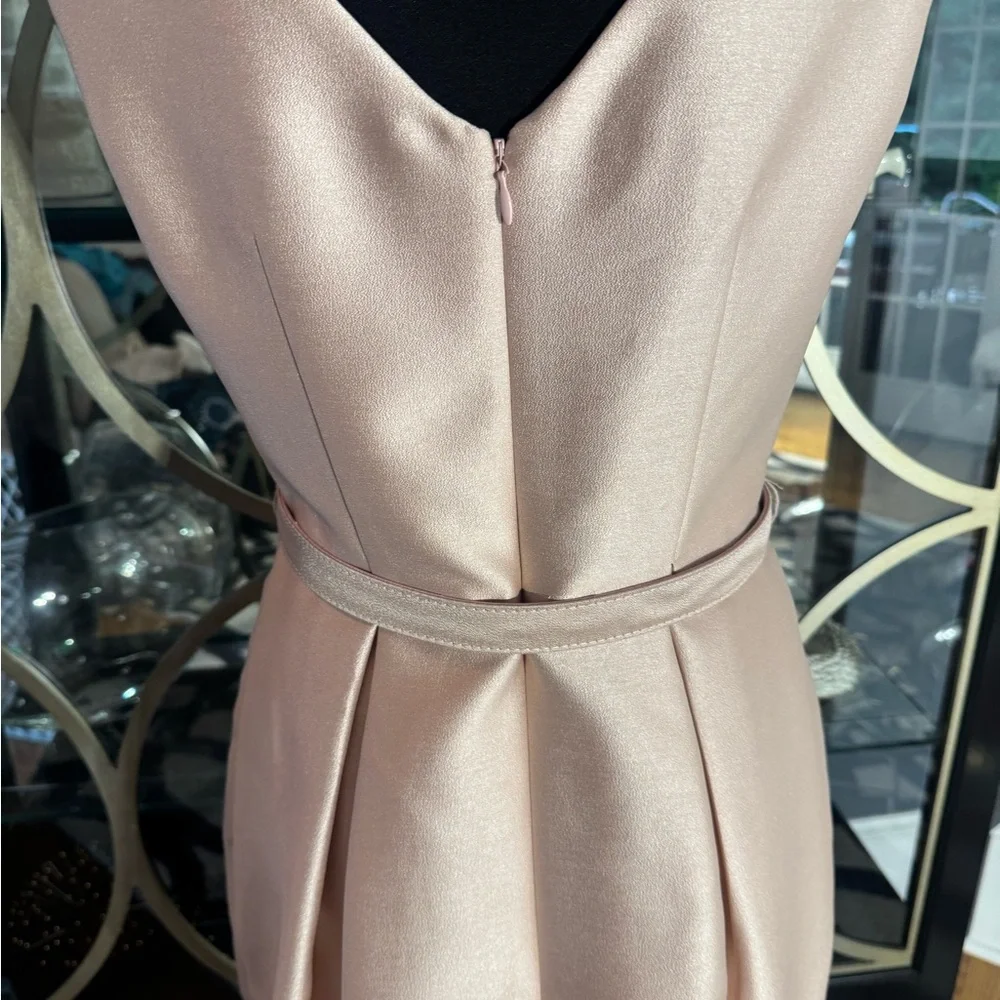 Eliza J Blush Embellished Dress - Picture 7 of 12